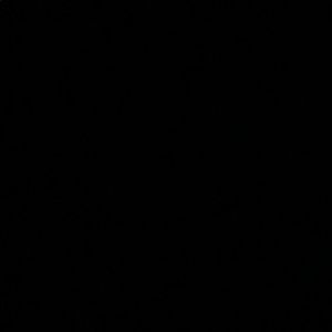 Meet your Posher, Adriana